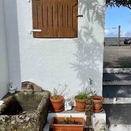 Patio * Cedros