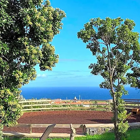 Pátio * Cedros