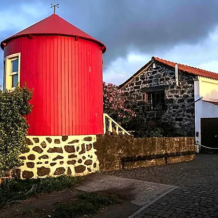 Orman Evi Patio *