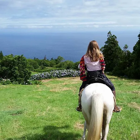 Alojamento de Turismo Selvagem Pátio *