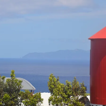 Pátio * Cedros