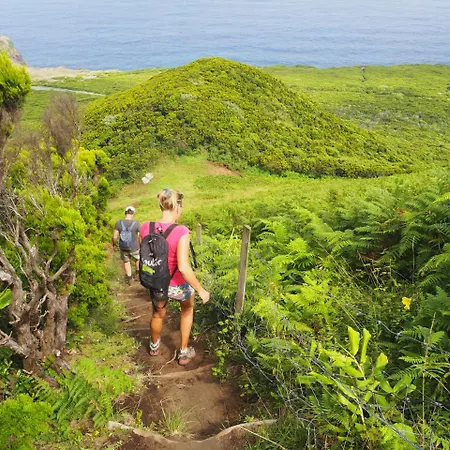Alojamento de Turismo Selvagem Pátio *