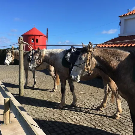 Pátio Alojamento de Turismo Selvagem *