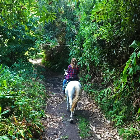 Pátio Alojamento de Turismo Selvagem Cedros